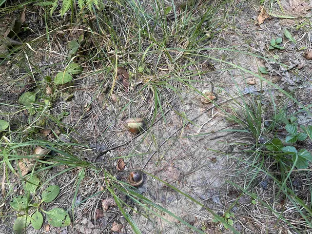 $275,000 | 81 Parish Hill Road, Newfane, VT 05351