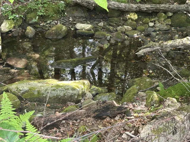 $275,000 | 81 Parish Hill Road, Newfane, VT 05351