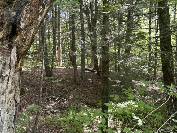 $275,000 | 81 Parish Hill Road, Newfane, VT 05351