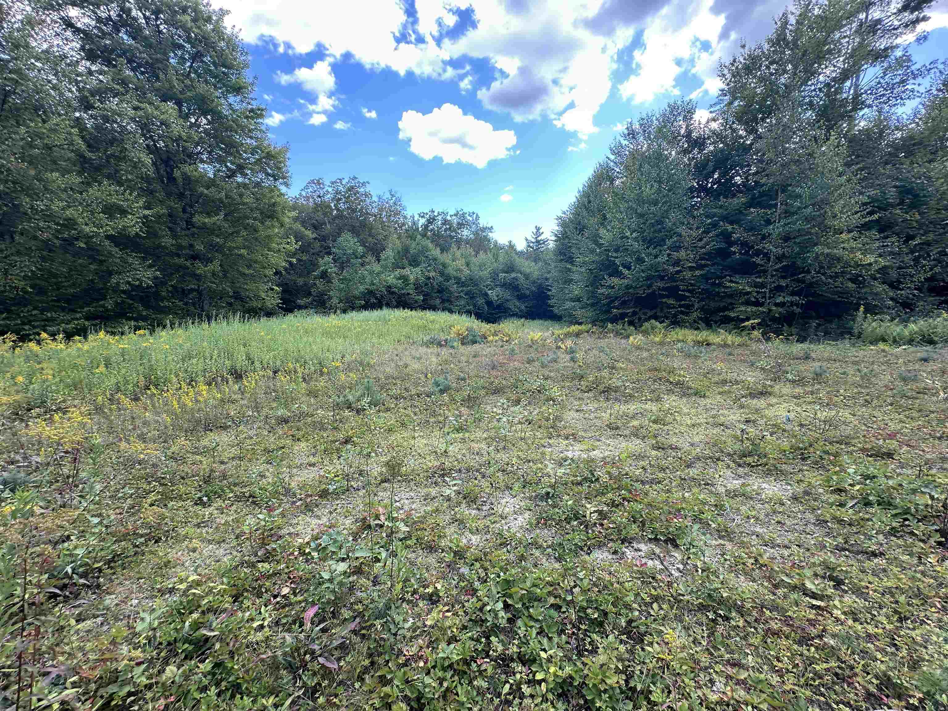 81 Parish Hill Road Newfane, VT 05351 - Photo 50 of 59