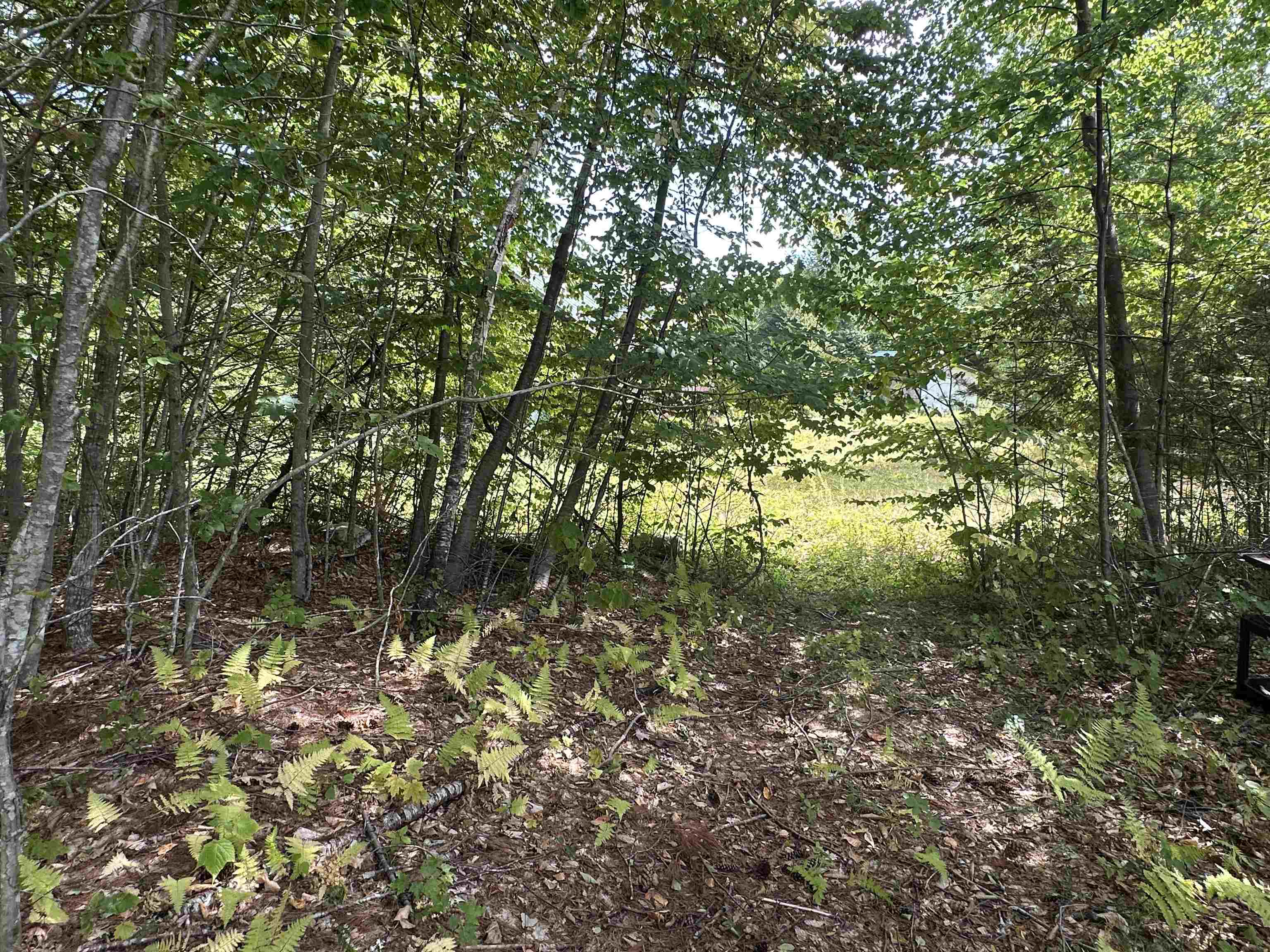 81 Parish Hill Road Newfane, VT 05351 - Photo 51 of 59