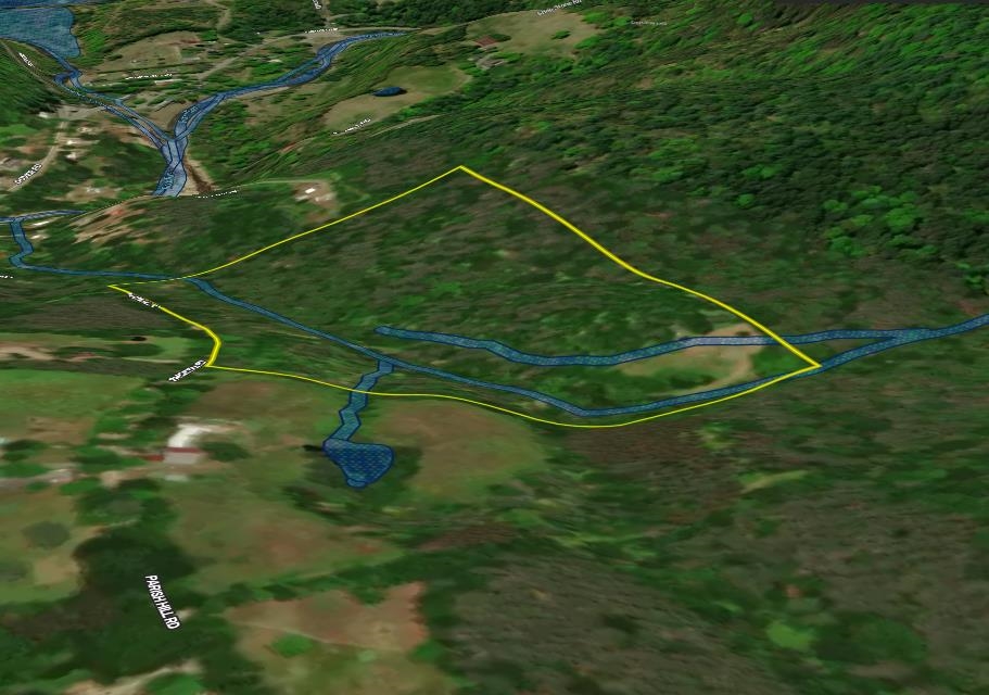 81 Parish Hill Road Newfane, VT 05351 - Photo 55 of 59