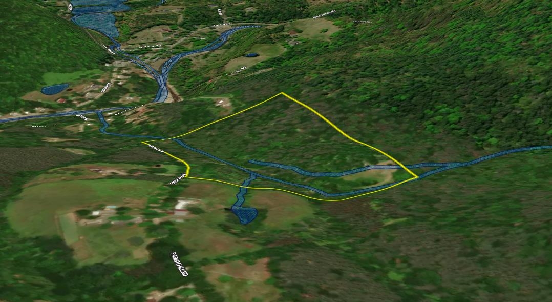 81 Parish Hill Road Newfane, VT 05351 - Photo 56 of 59