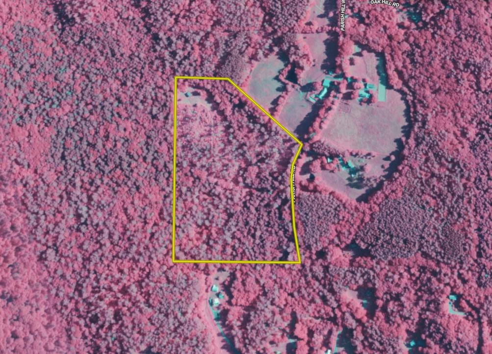 81 Parish Hill Road Newfane, VT 05351 - Photo 58 of 59