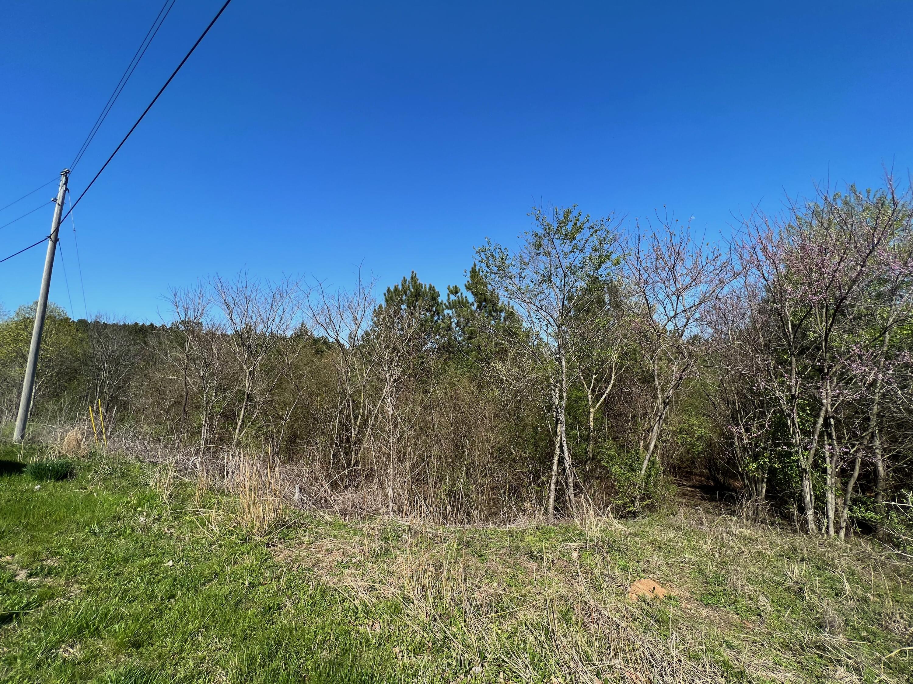Lot 17-a&b Southeast Lot 17-a&b Se Spring Place Road Old Fort, TN 37362 - Photo 2 of 13 Spring Place Listing pics 4