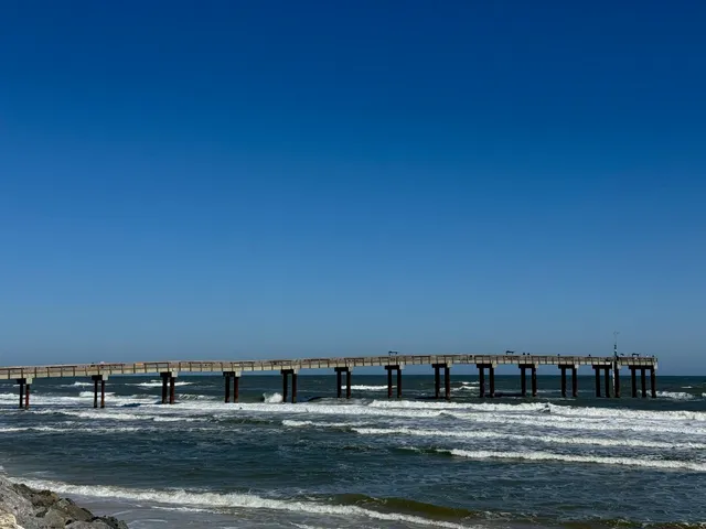 a view of ocean with large trees