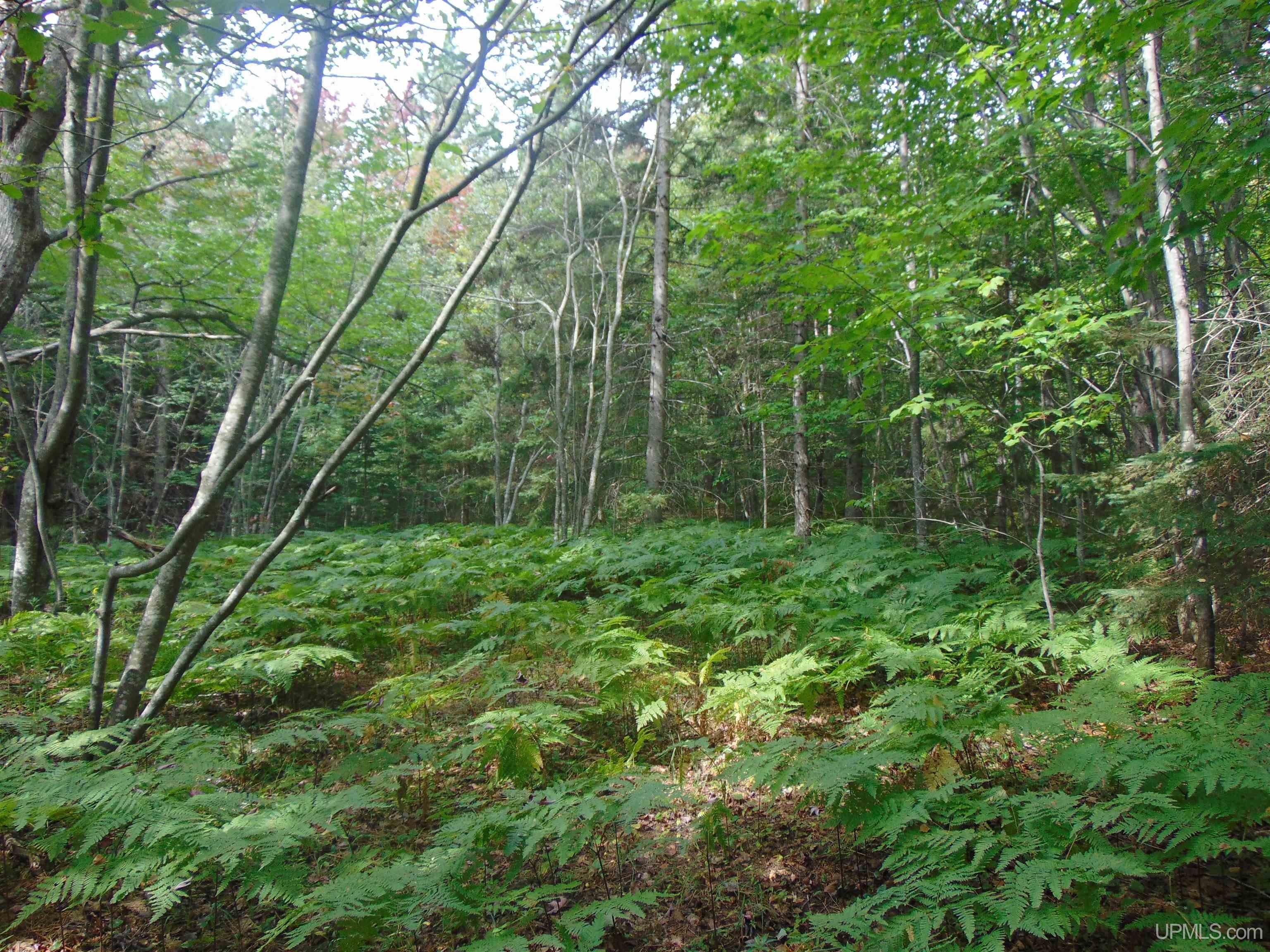 15 Coles Creek Road Atlantic Mine, MI 49905 - Photo 7 of 31