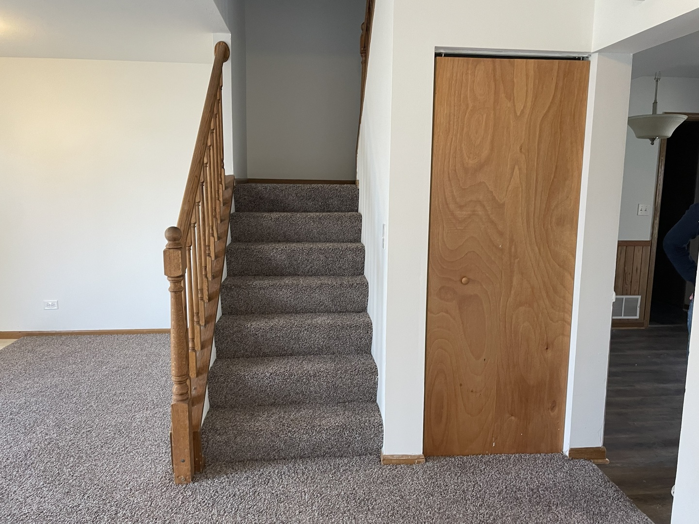 1740 Cumberland Road Aurora, IL 60504 - Photo 13 of 37 a view of staircase with white walls and a rug