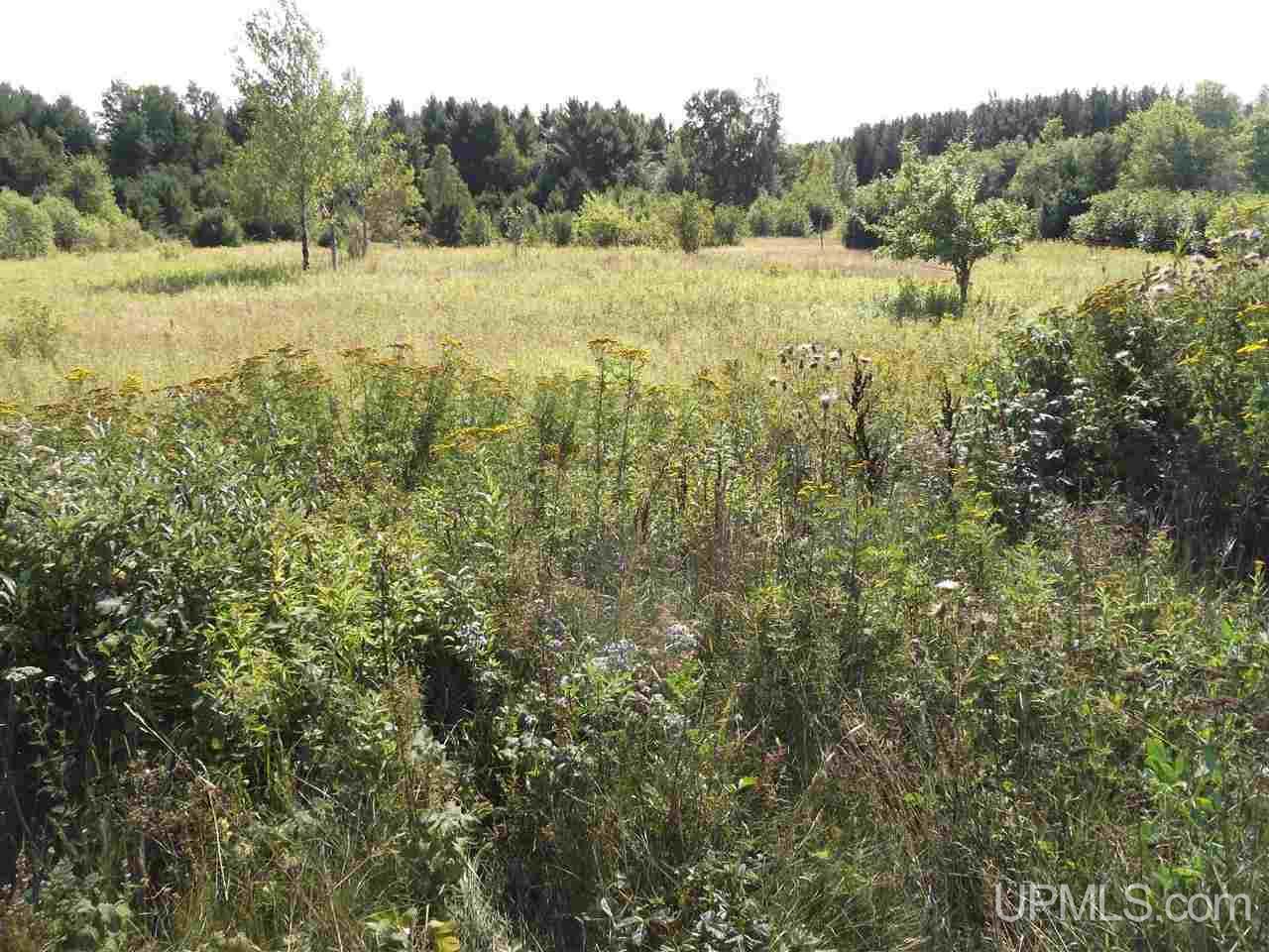 30515 Post Road Lake Linden, MI 49945 - Photo 31 of 31 Gallery Image 31