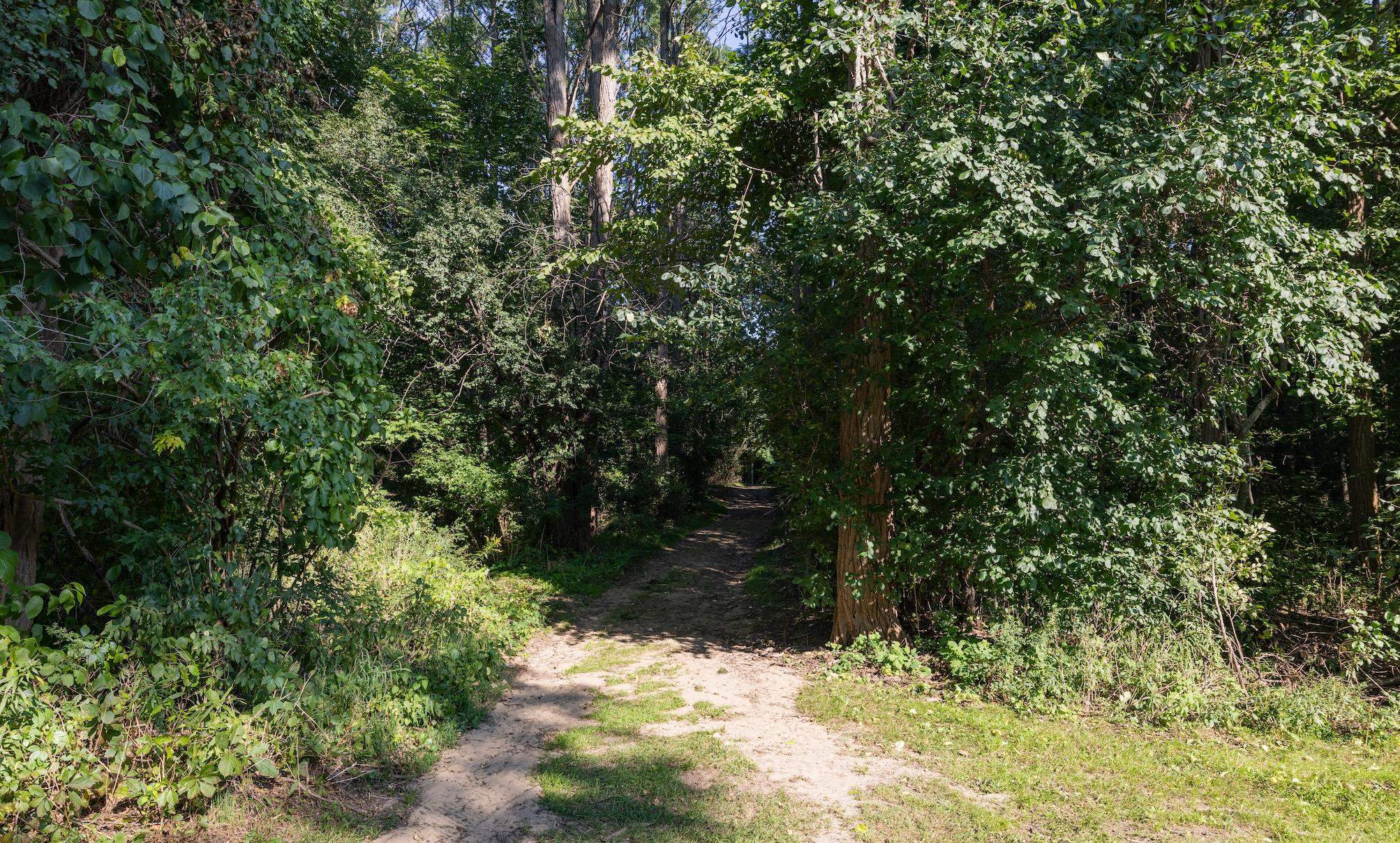 411 Locust Hill Road, Unit 411 Shelburne, VT 05482 - Photo 26 of 33 Gallery Image 26