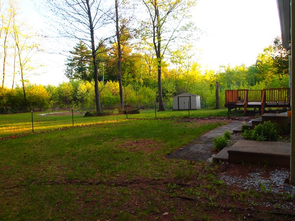 26 Sandy Pine Road Templeton, MA 01468 - Photo 5 of 29