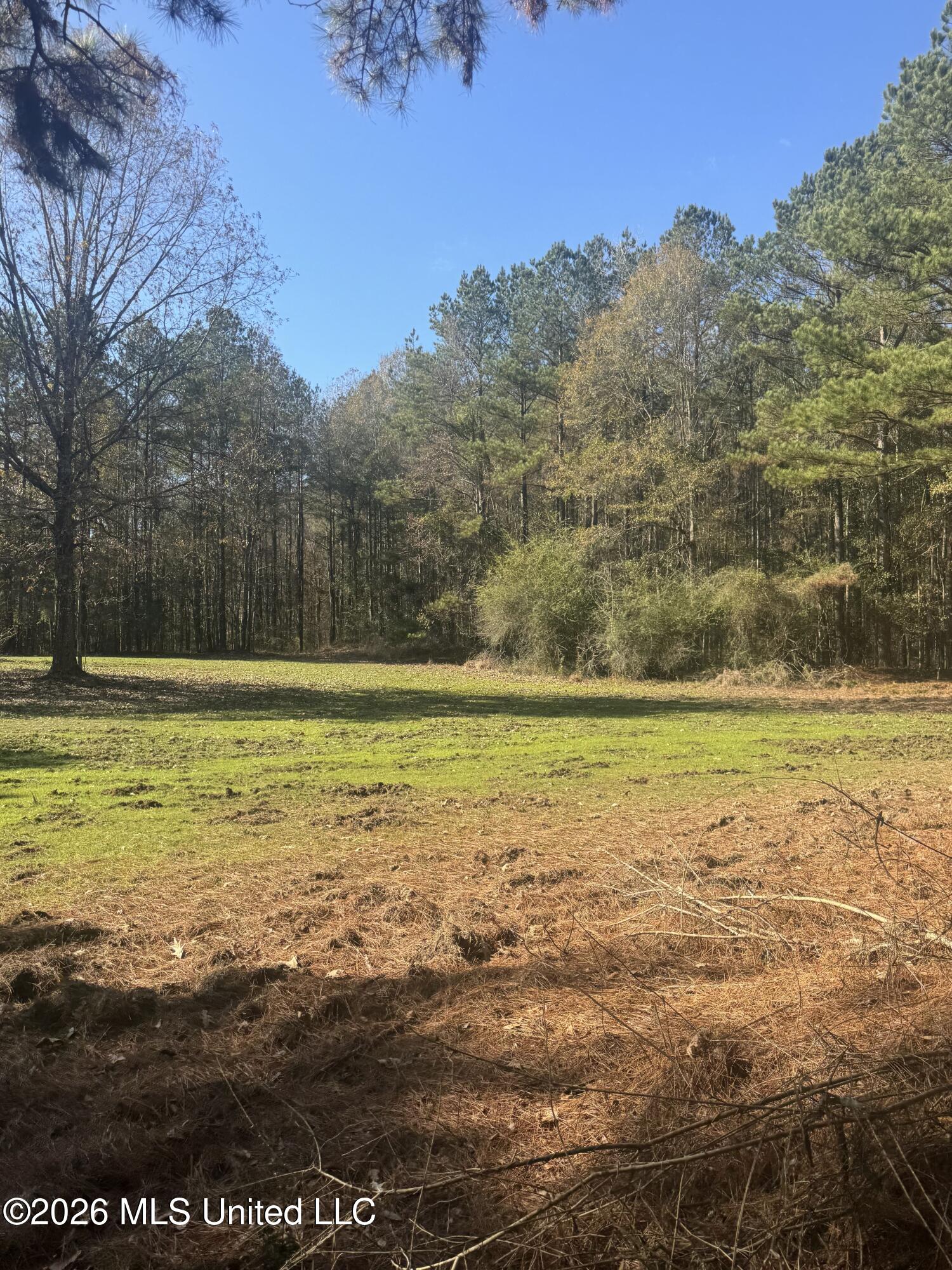 Mckenzie Road Tylertown, MS 39667 - Photo 40 of 50 40