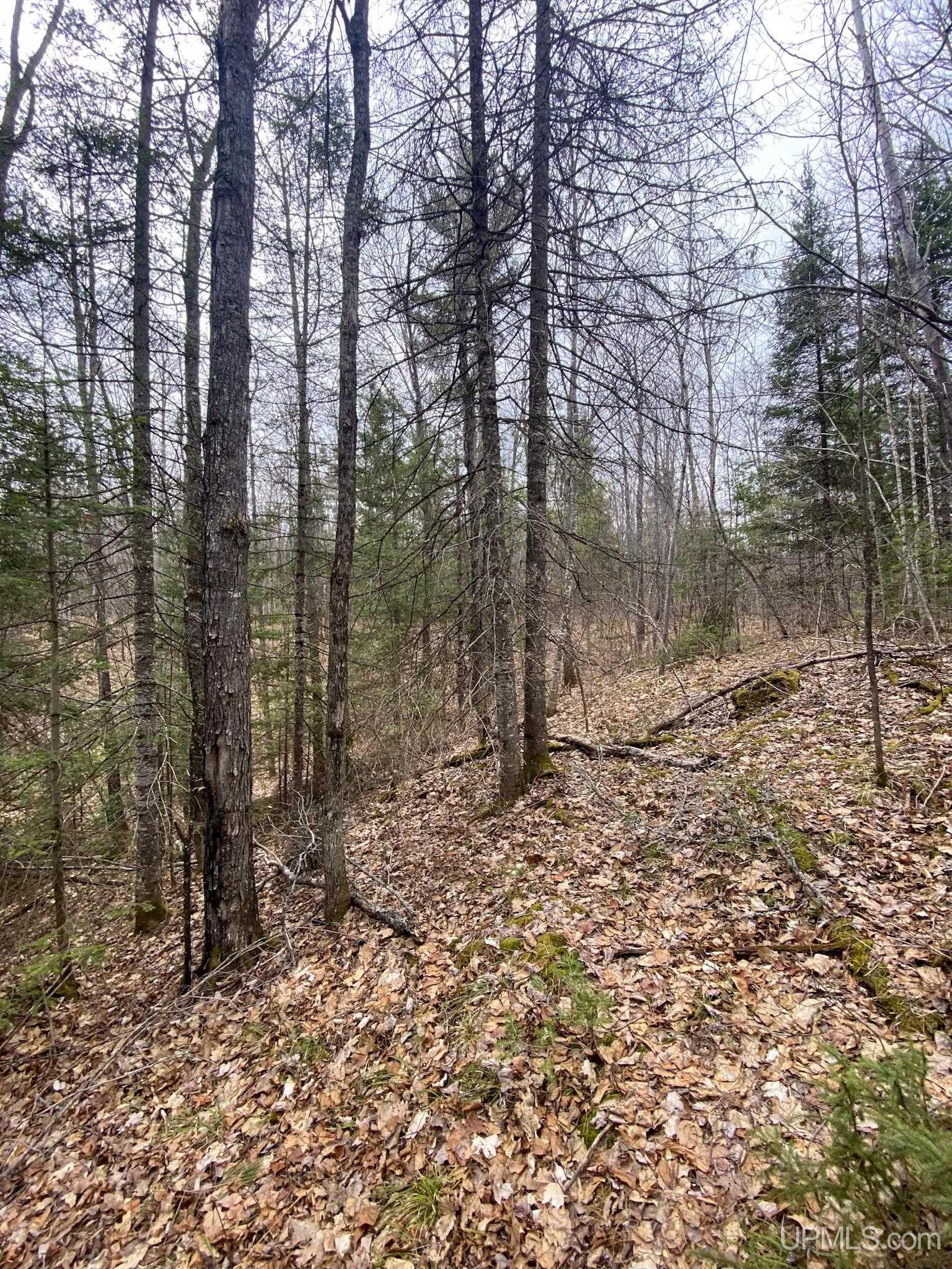 Tbd Tbd County Road Ishpeming, MI 49849 - Photo 20 of 24