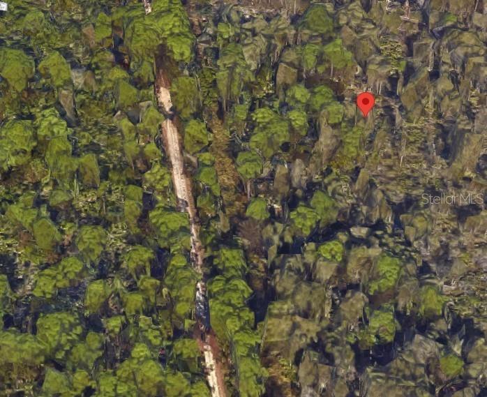 33422 Oil Well Road Punta Gorda, FL 33955 - Photo 1 of 1 Gallery Image 1