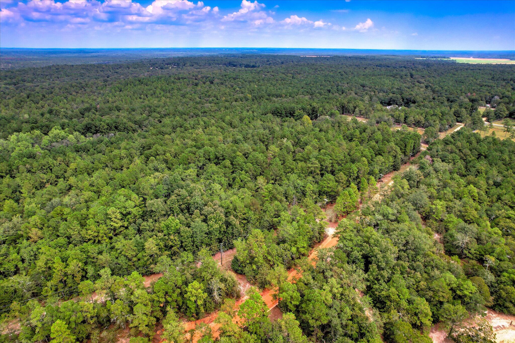 001 A Centerwood Road Williston, SC 29853 - Photo 5 of 19