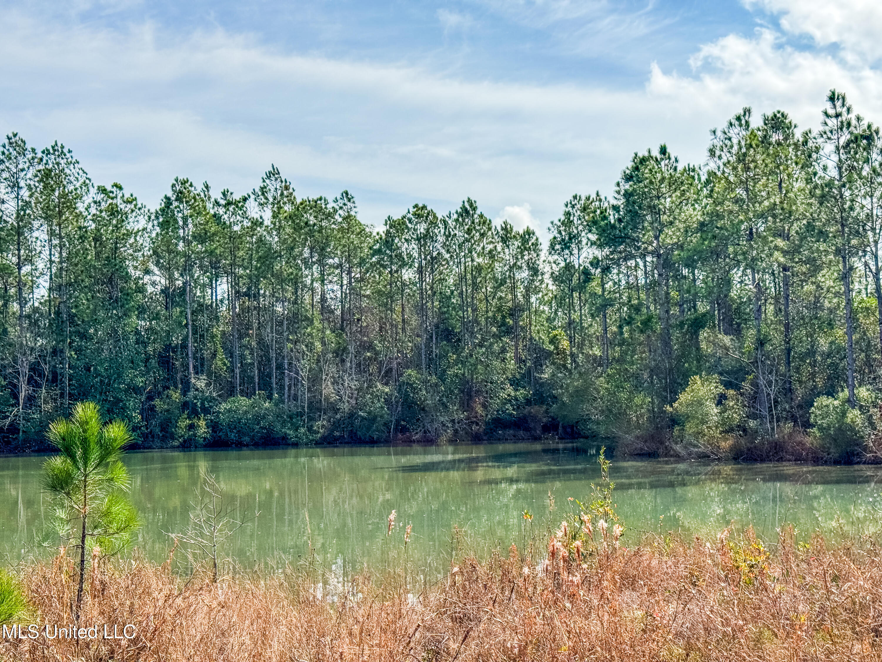 R S Kimball Road Ocean Springs, MS 39565 - Photo 1 of 7 IMG_8327