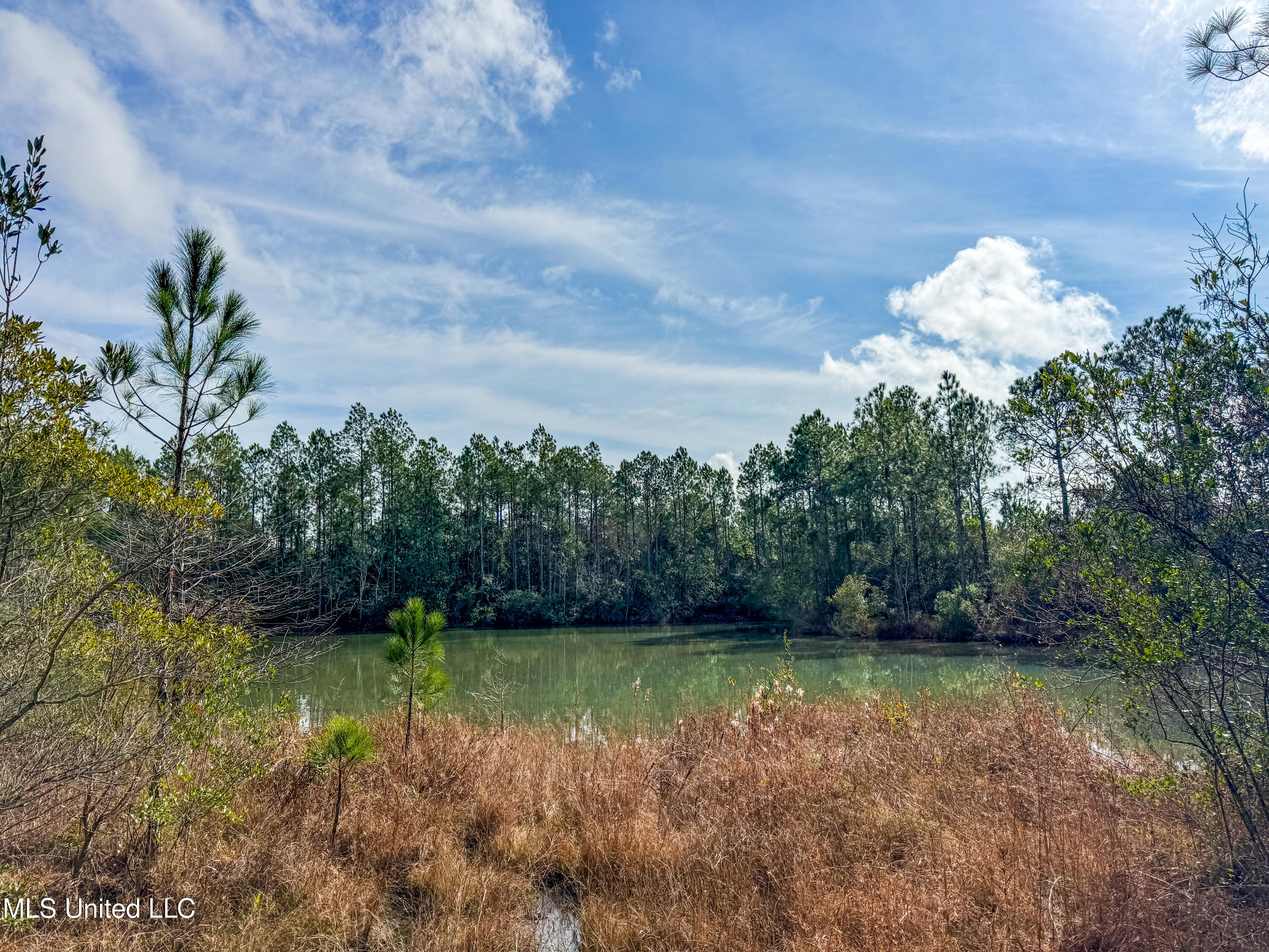 R S Kimball Road Ocean Springs, MS 39565 - Photo 3 of 7 IMG_8326