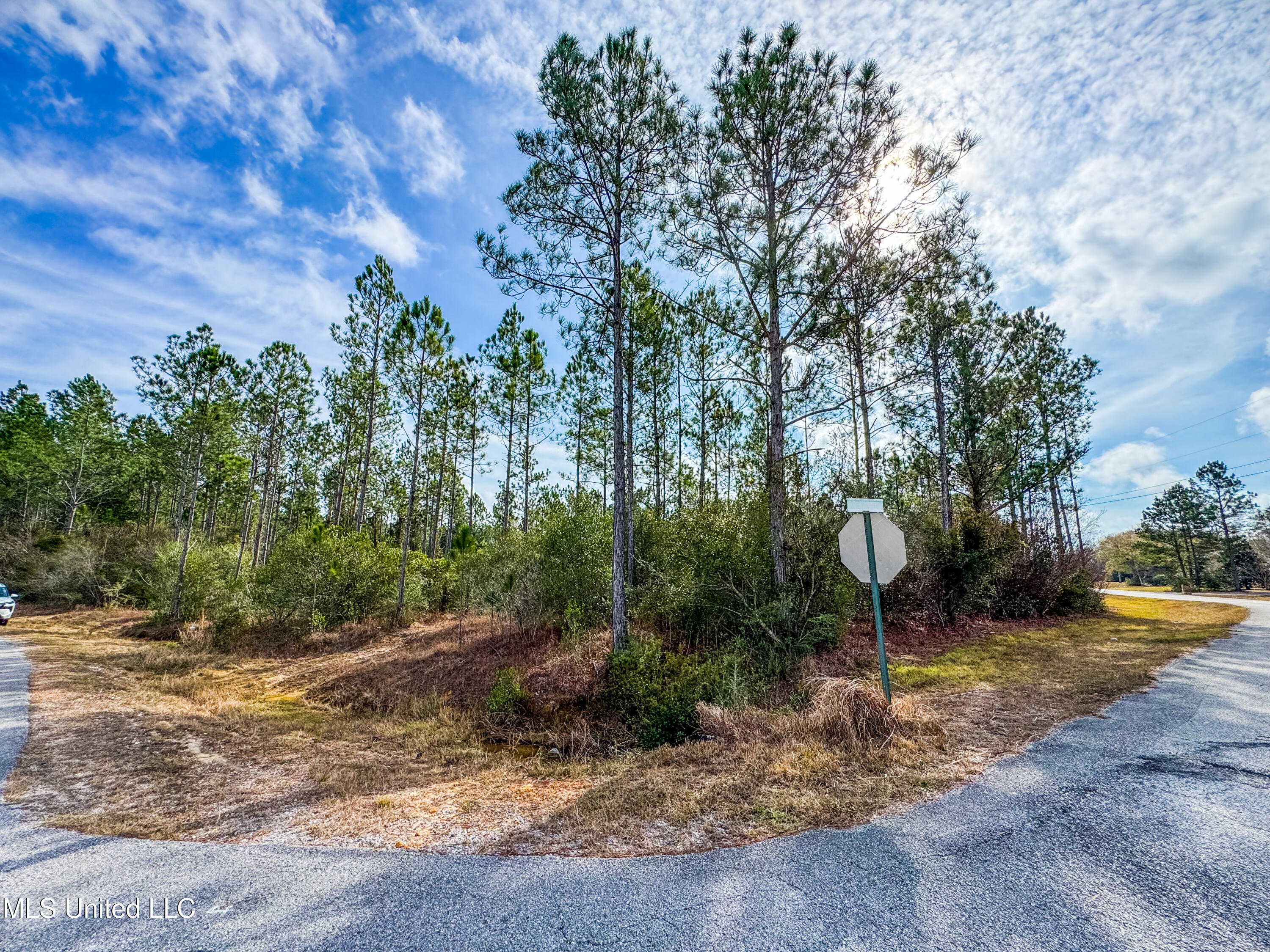 R S Kimball Road Ocean Springs, MS 39565 - Photo 6 of 7 IMG_8330
