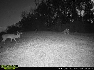 1626 Big Creek Road Meigs, GA 31765 - Photo 23 of 56 Gallery Image 23