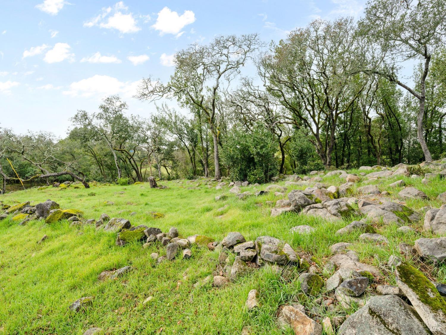 2924 Old Bennett Ridge Road Santa Rosa, CA 95404 - Photo 11 of 21 a backyard of a house with lots of green space