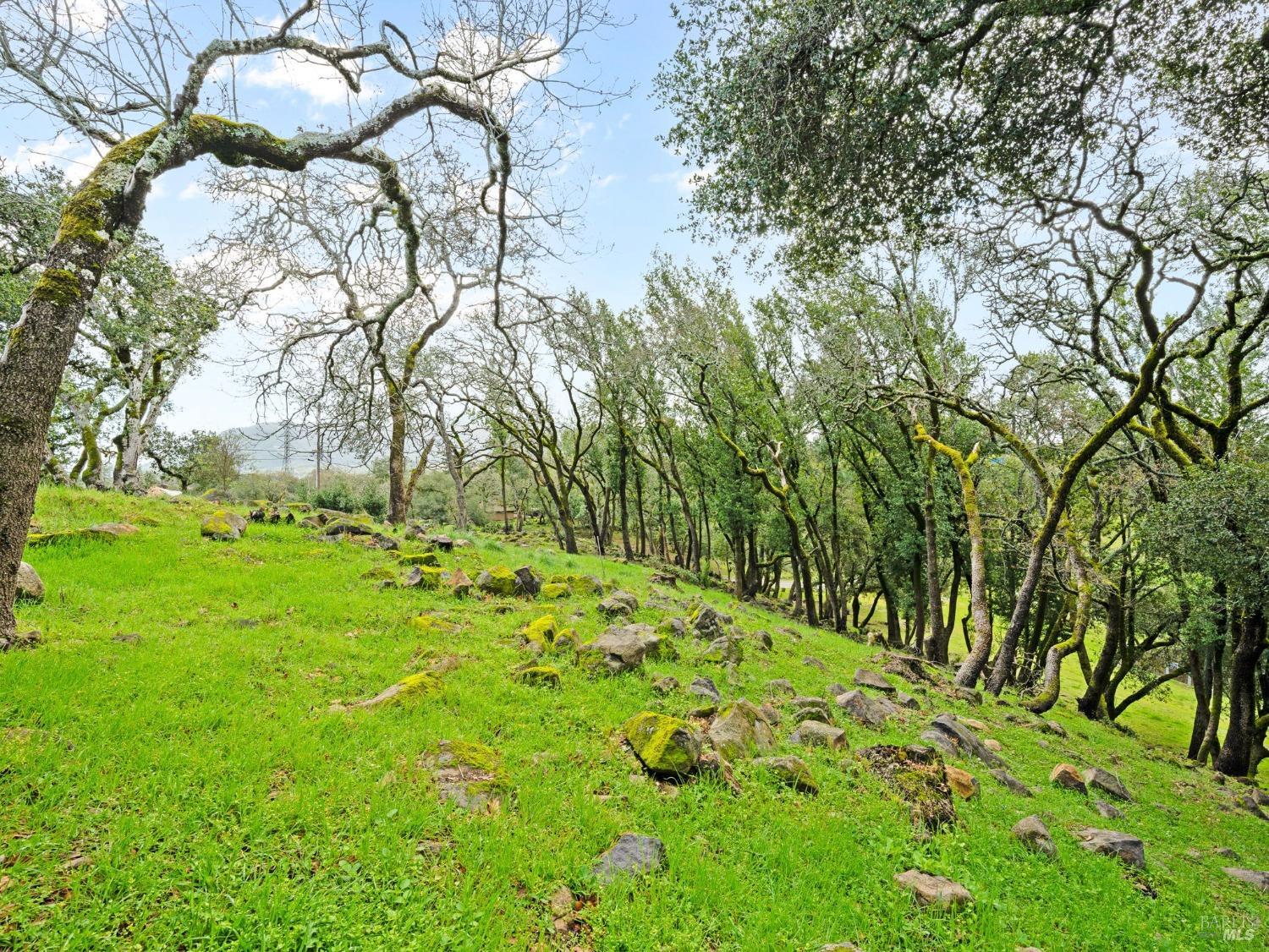 2924 Old Bennett Ridge Road Santa Rosa, CA 95404 - Photo 13 of 21 a backyard of a house with lots of green space