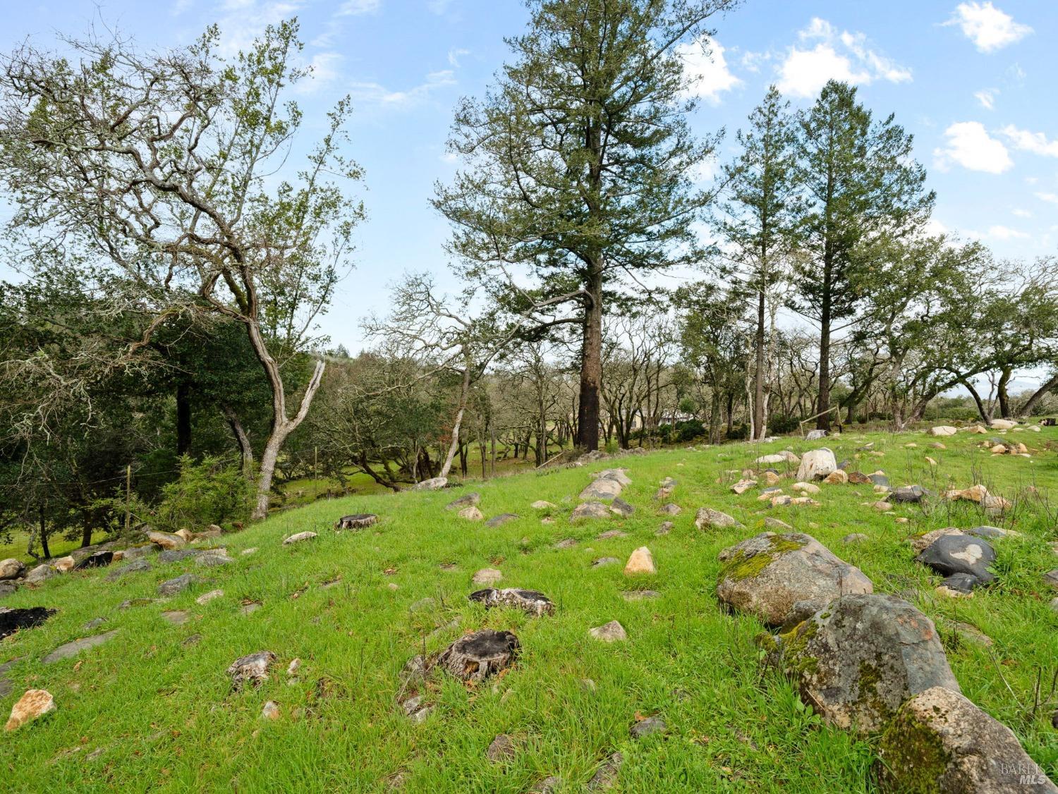 2924 Old Bennett Ridge Road Santa Rosa, CA 95404 - Photo 17 of 21 a view of yard with green space