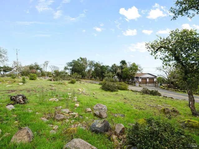 a view of a garden with an outdoor space