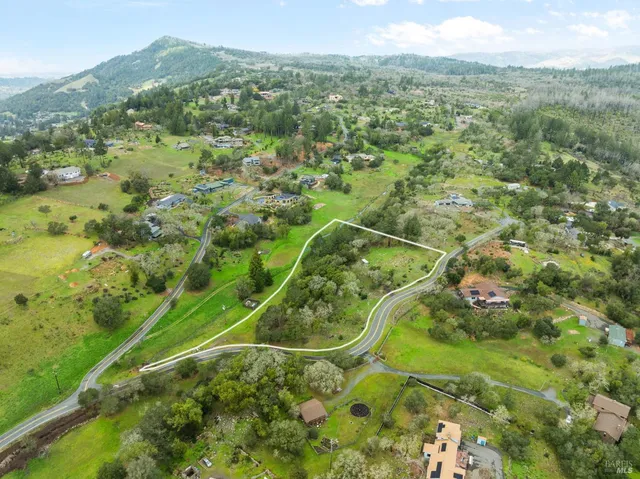 a view of a lush green field with a mountain in the background