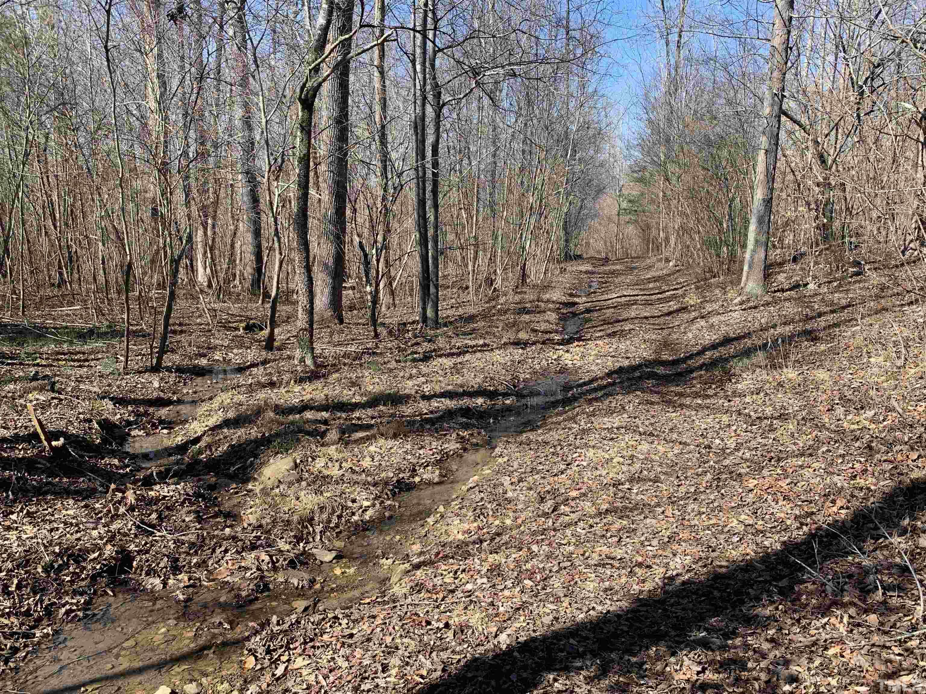 0 Ferguson Road Burlington, NC 27217 - Photo 7 of 11 Gallery Image 7