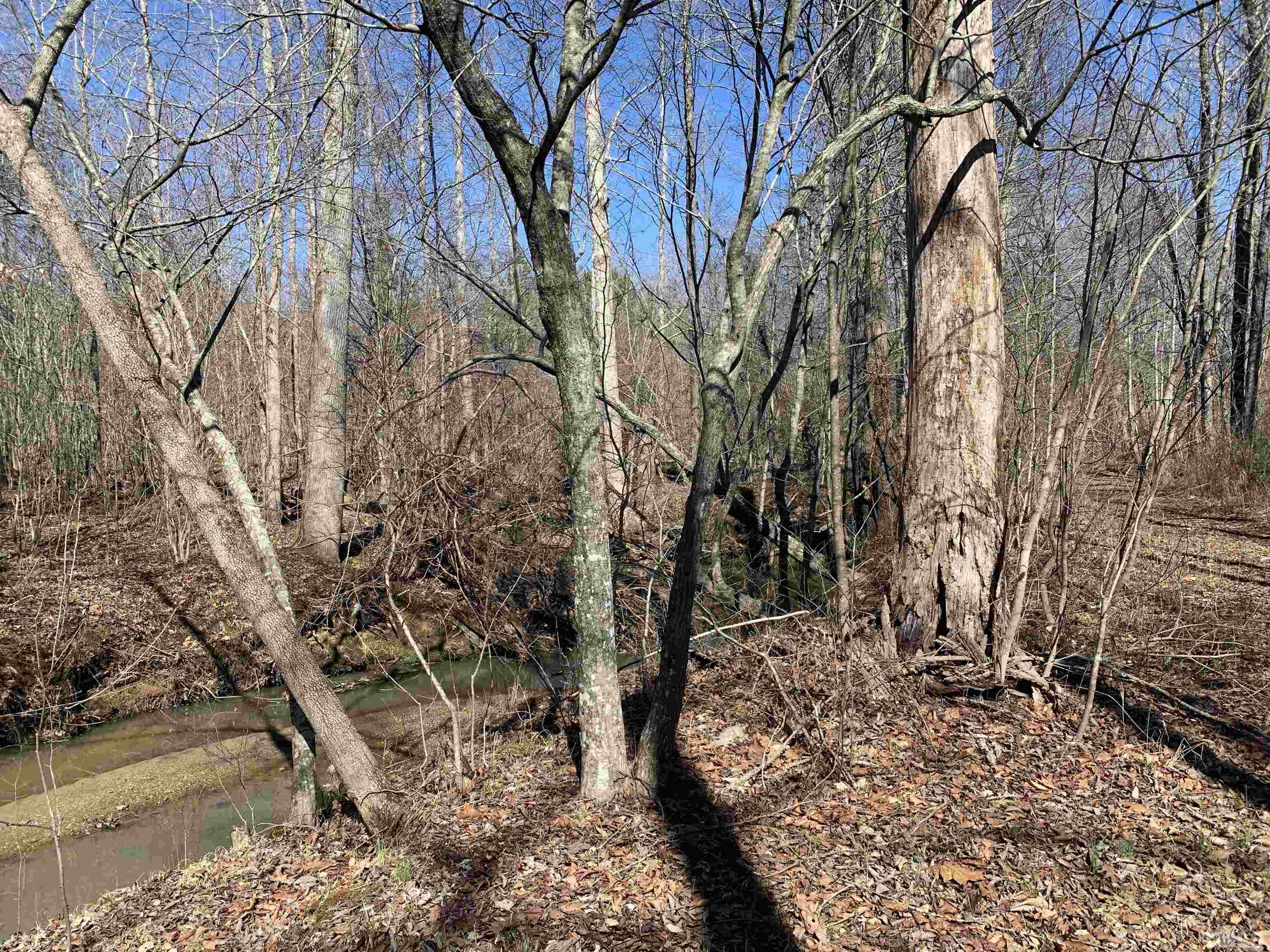 0 Ferguson Road Burlington, NC 27217 - Photo 10 of 11 Gallery Image 10