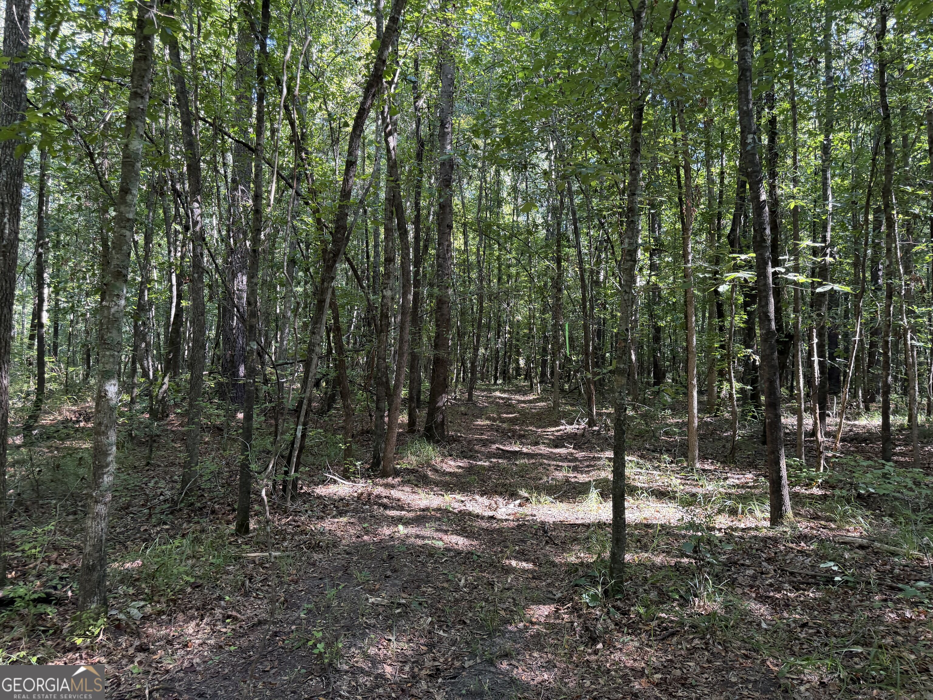 0 Pig Road Bartow, GA 30413 - Photo 22 of 44 Gallery Image 22