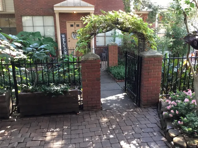 a view of a garden with plants and large trees