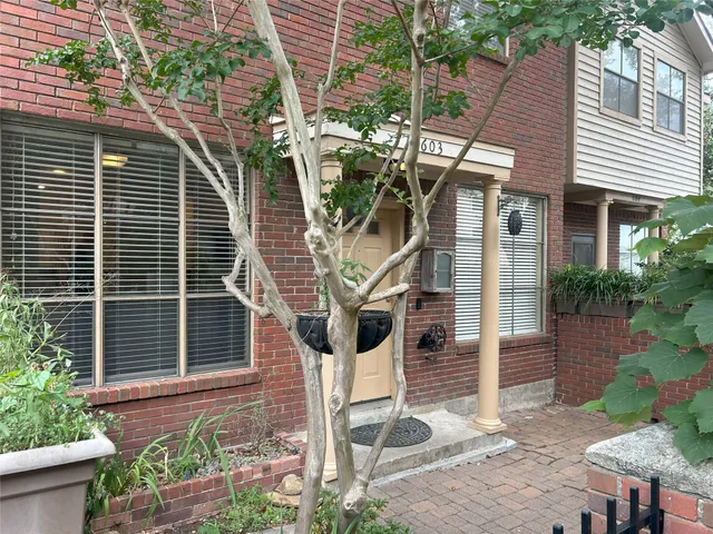 a view of a backyard with plants