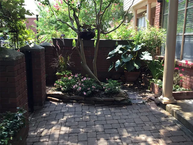 a view of a backyard