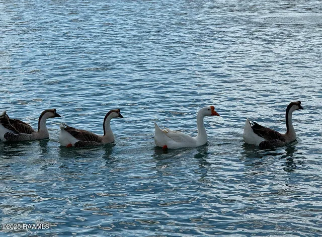 $875,000 | 12920 La Highway, Kaplan, LA 70548