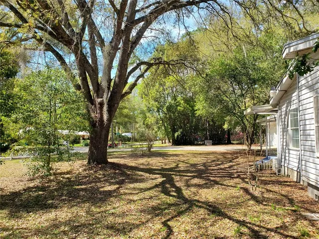 a view of a yard with a tree