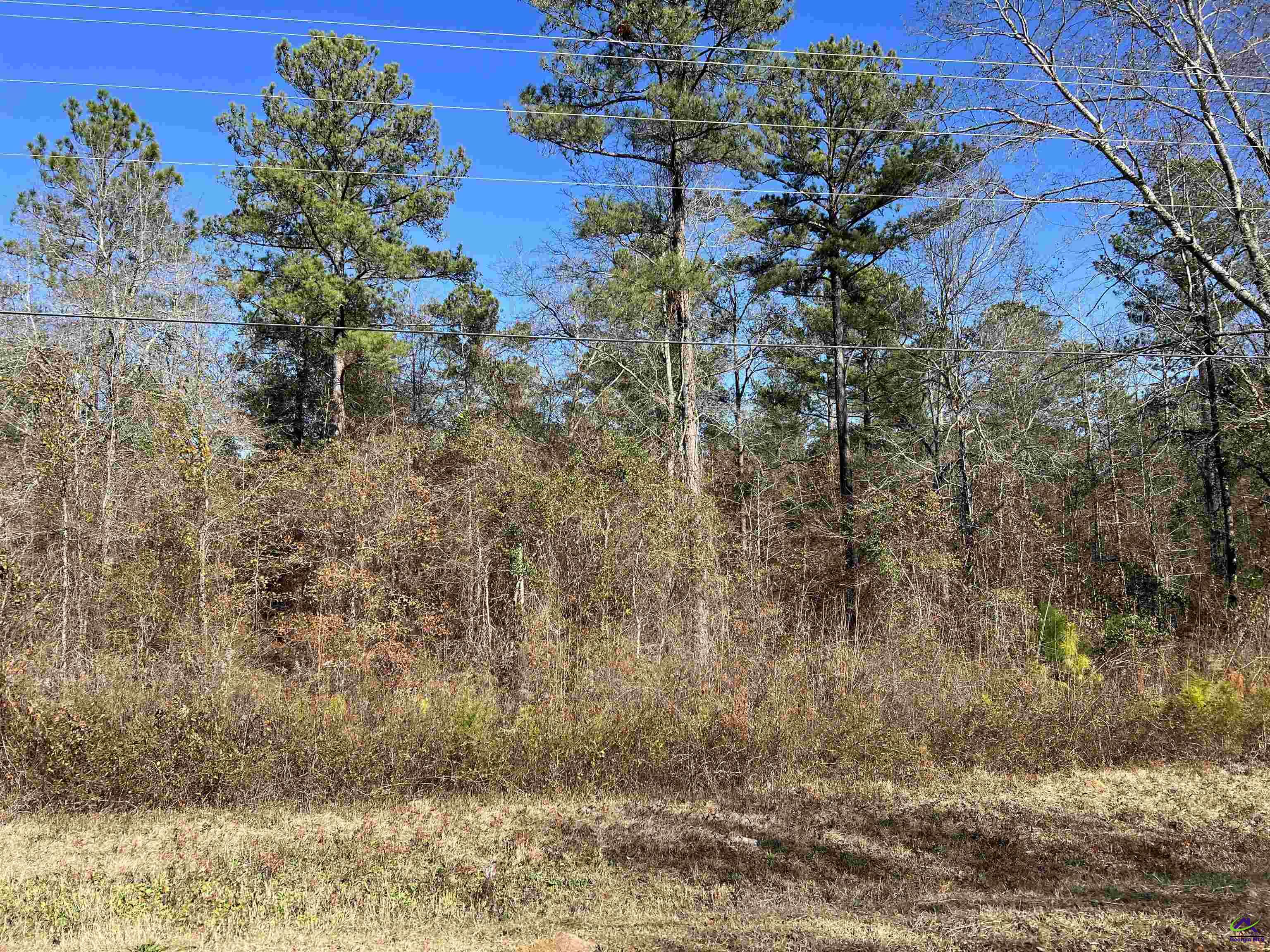 Denny Coley Road Cochran, GA 31014 - Photo 5 of 6