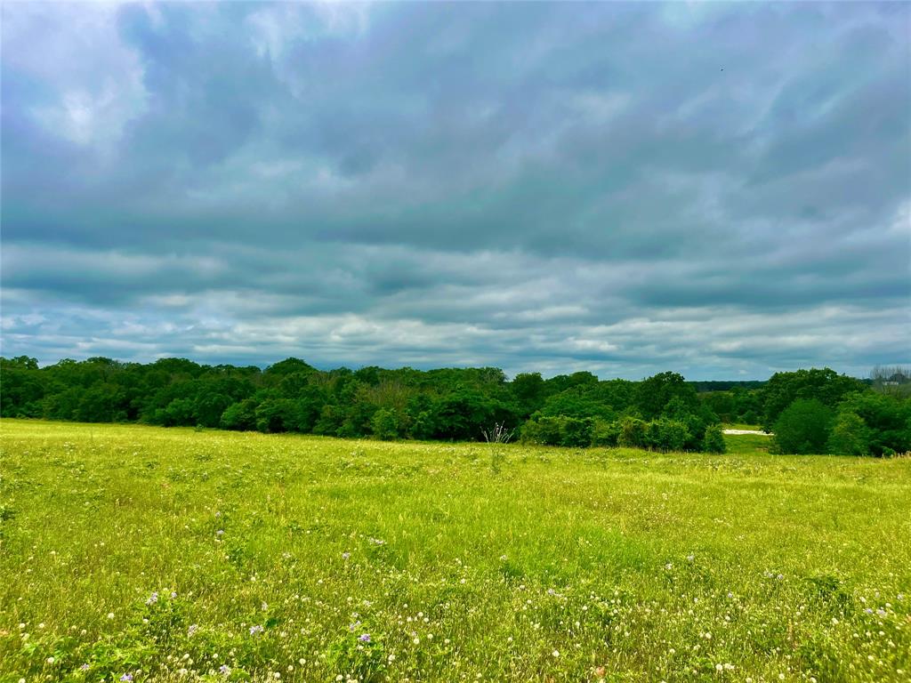 Lot 10 Clare Road Poolville, TX 76487 - Photo 2 of 5 View of mother earth's splendor