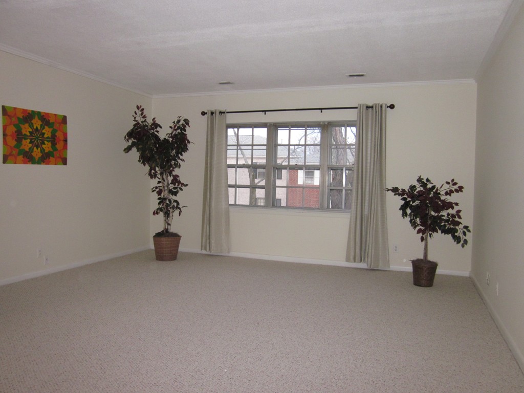 210 Lake Shore Road, Unit 4 Boston, MA 02135 - Photo 3 of 15 an empty room with windows and flower pot