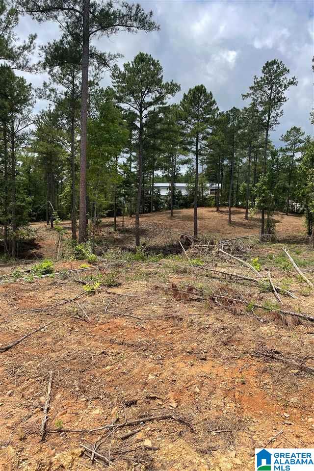 6136 Grey Hill Road West Blocton, AL 35184 - Photo 2 of 4