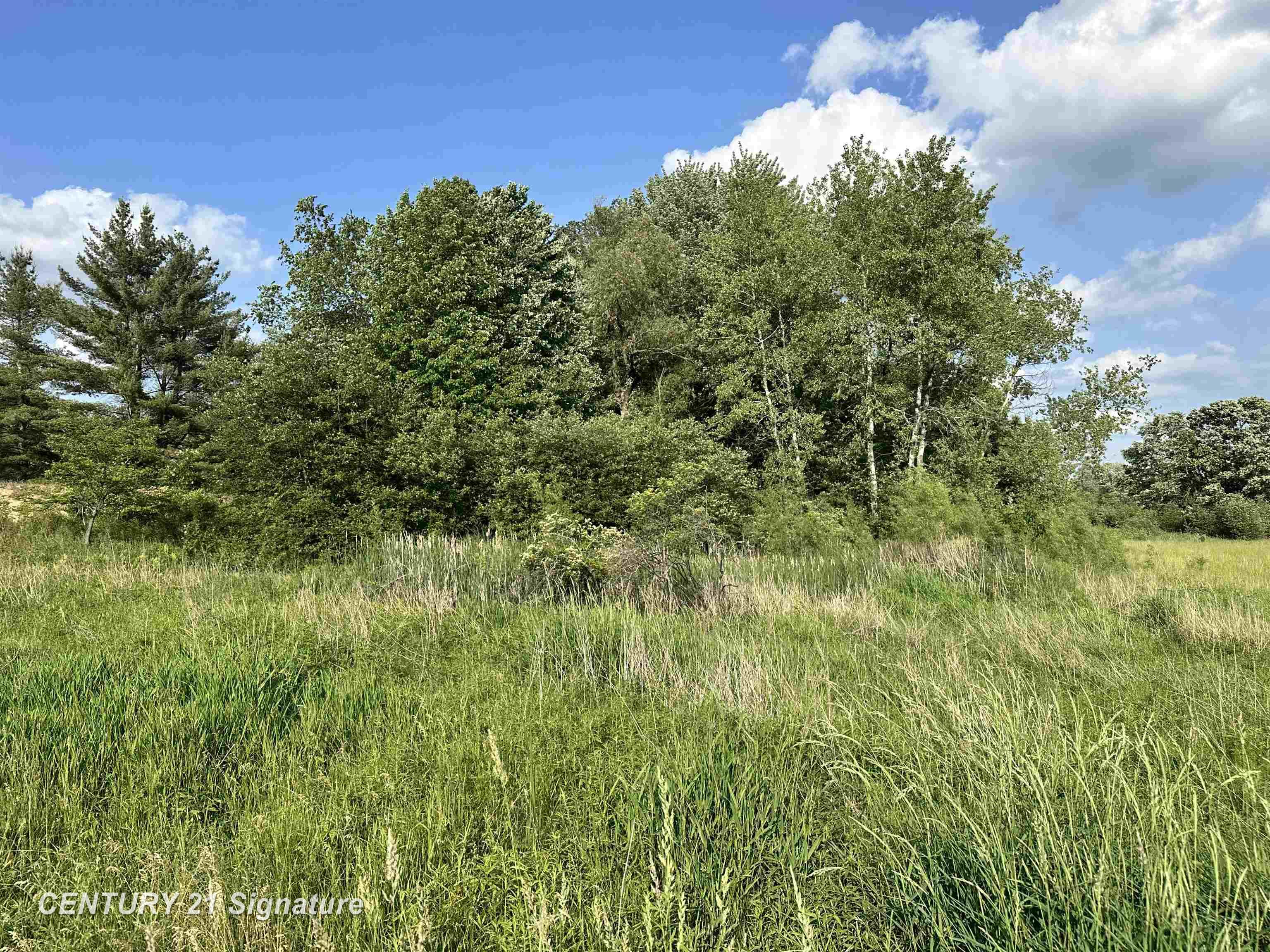 60 Estey Road Beaverton, MI 48612 - Photo 11 of 15