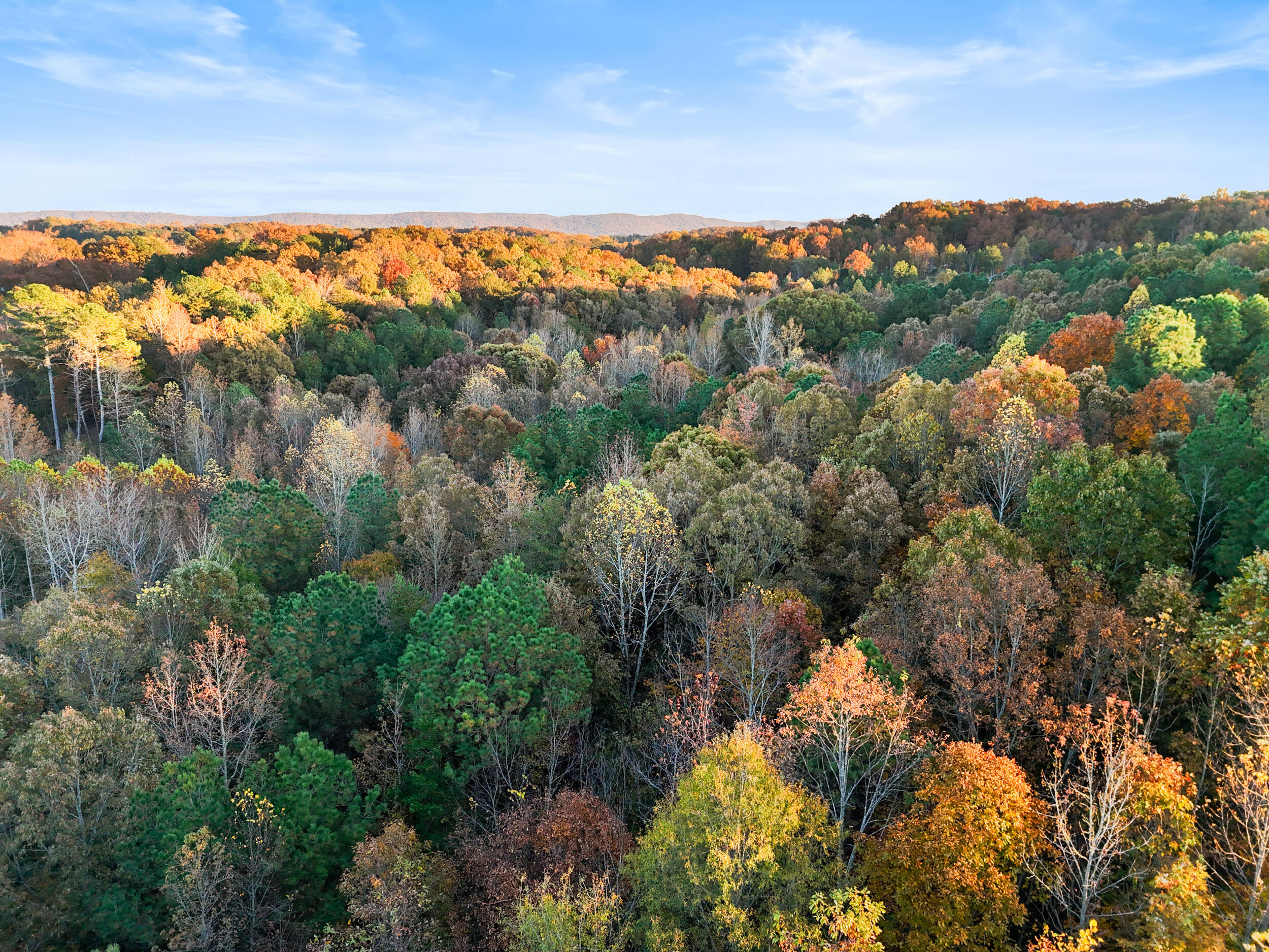 0 Tarvin Road Rock Spring, GA 30739 - Photo 15 of 16 dji_20251107061543_0730_d
