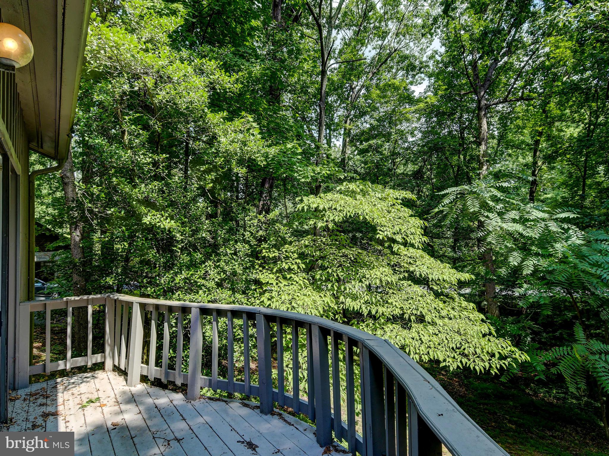 2501 Stone Mill Road Baltimore, MD 21208 - Photo 64 of 83 Gallery Image 64