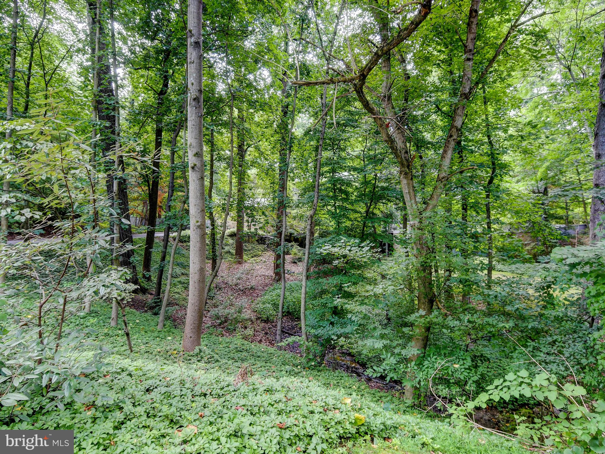 2501 Stone Mill Road Baltimore, MD 21208 - Photo 83 of 83 Gallery Image 83