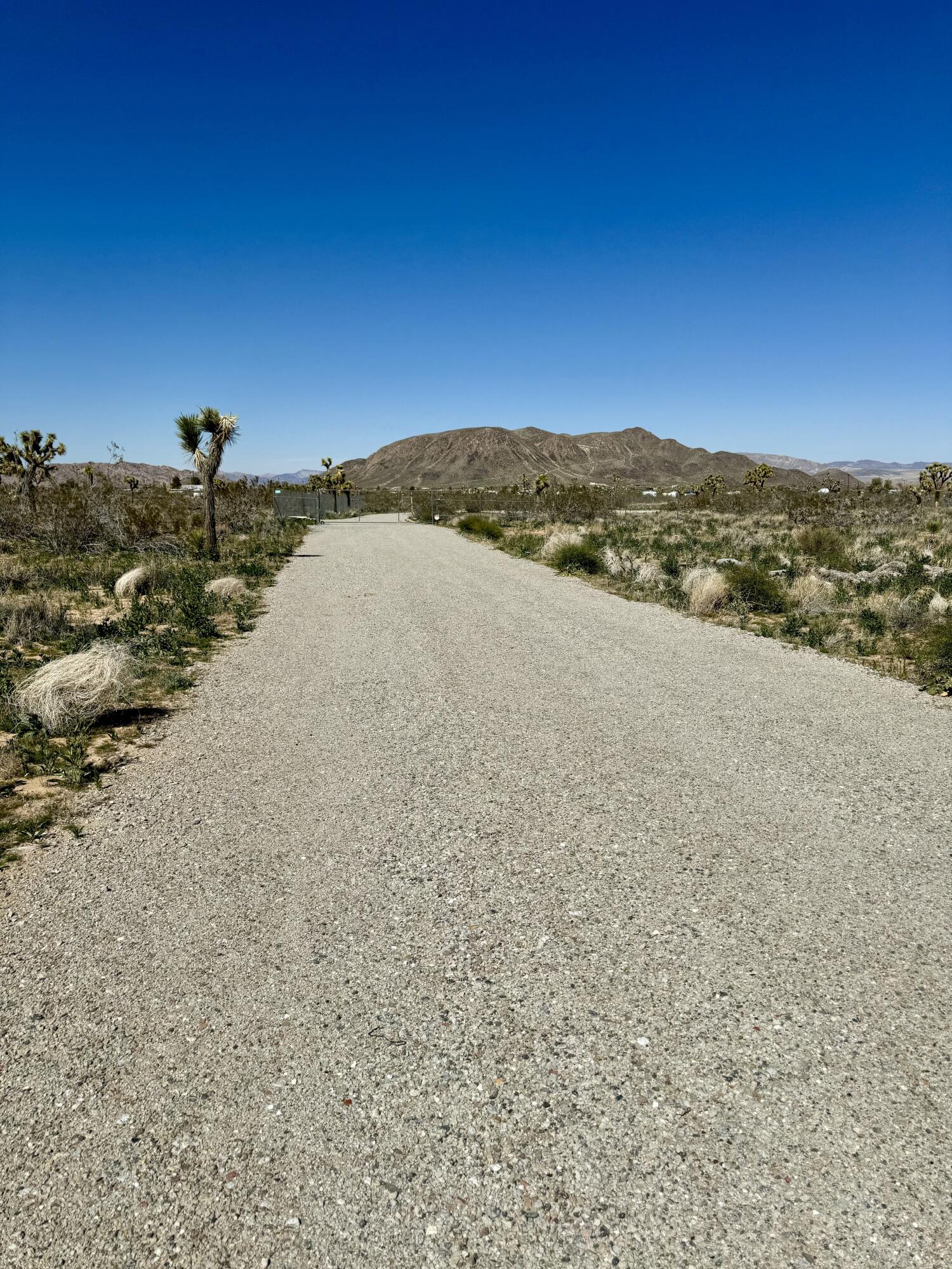 59191 Reche Road Landers, CA 92285 - Photo 2 of 17 IMG_8747