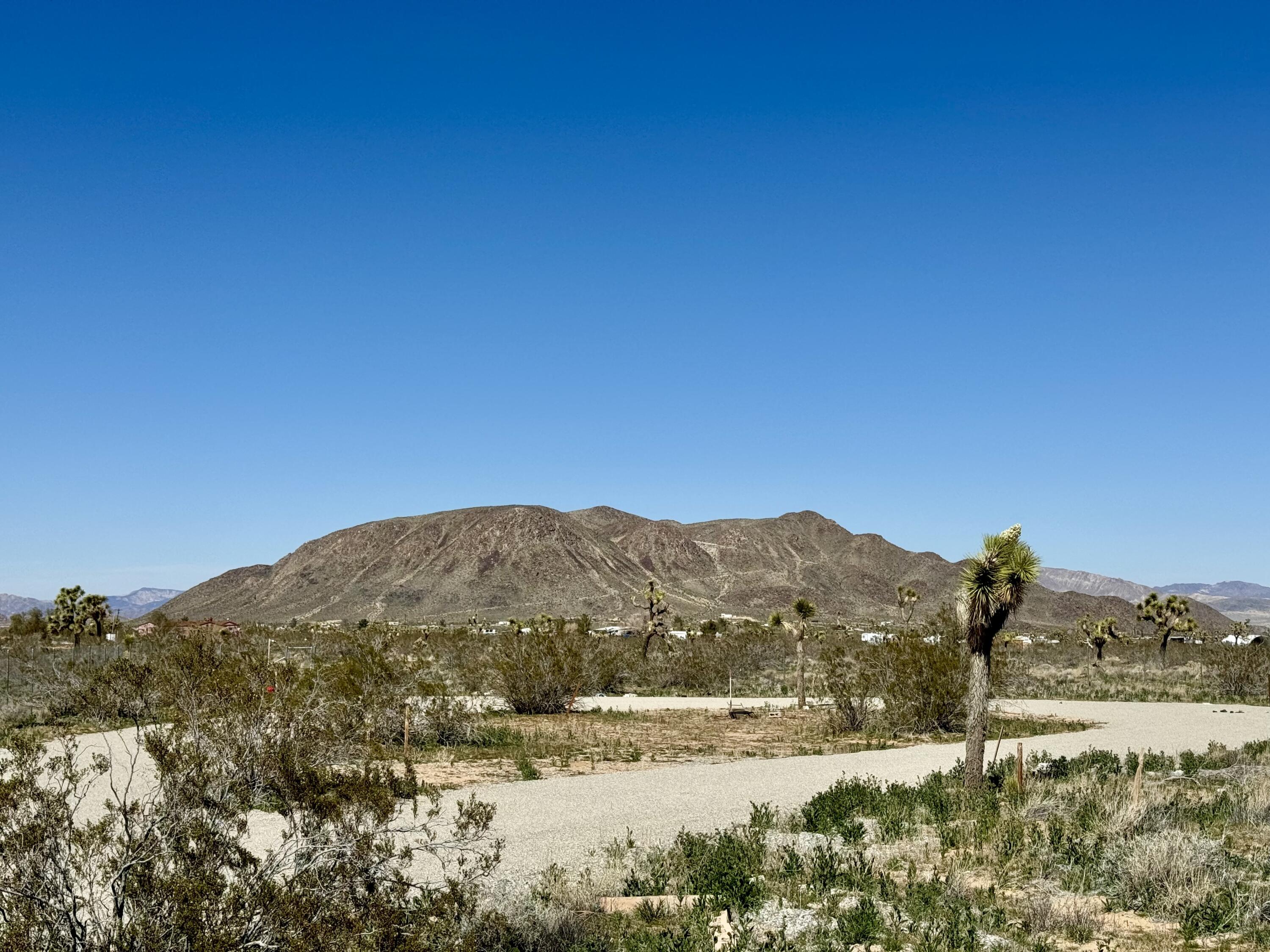 59191 Reche Road Landers, CA 92285 - Photo 3 of 17 IMG_8751