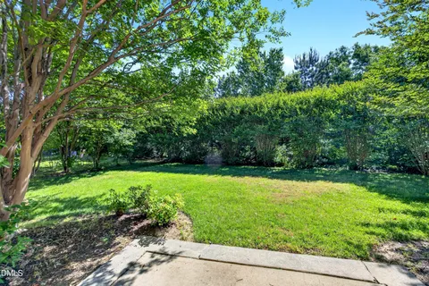 a view of a garden with a tree