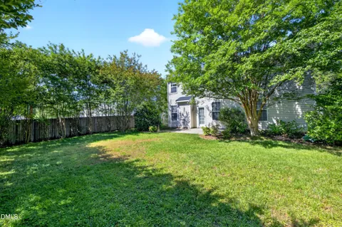 a view of a backyard with plants and large trees