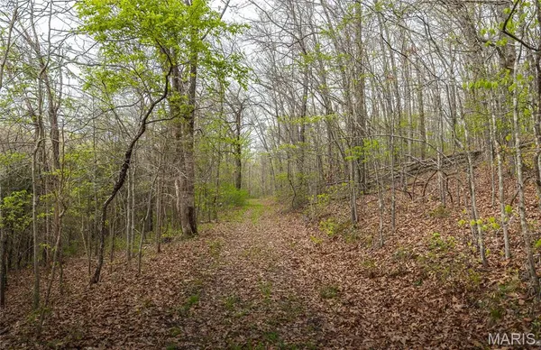 $1,285,700 | 1309 County Road 4350, Salem, MO 65560