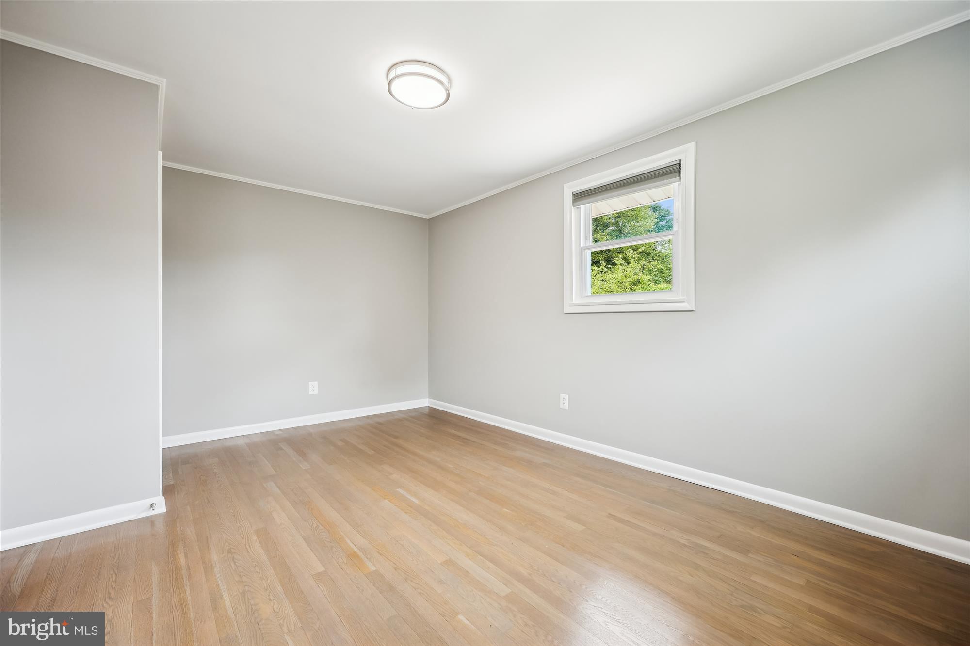 10916 Lombardy Road Silver Spring, MD 20901 - Photo 23 of 55 Gallery Image 23